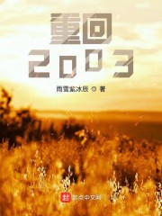 重生2003杨凯