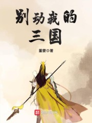 别动我的兵破解版