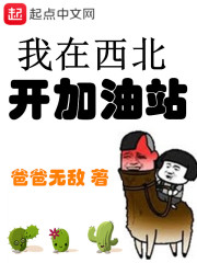 我在西北开加油站目录