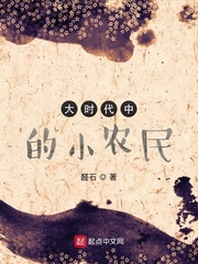 《大时代中的小农民》