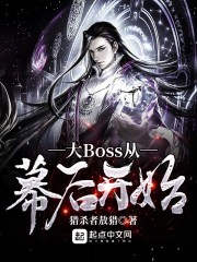 幕后大boss流小说