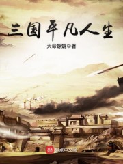 三国平凡人生全文txt下载