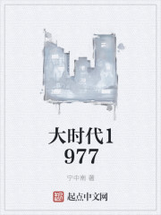 大时代1977宁中南