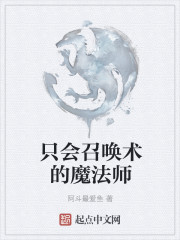 魔法师罗杰尔召唤不了