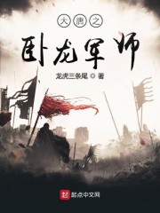 大唐之卧龙军师小说