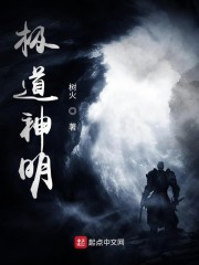 极道神偷小说