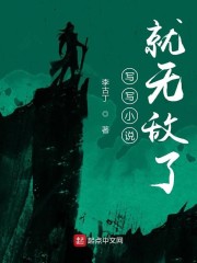 写写小说就无敌了epub