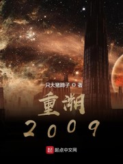 重溯2009年txt