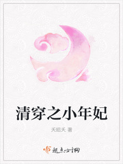 清穿之年贵妃作者:清泉烹茶