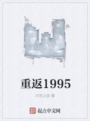 重返1995起点中文网