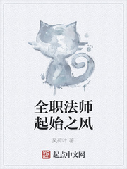 全职法师起始之风 第501章