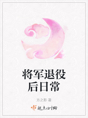 将军退役后日常txt百度云