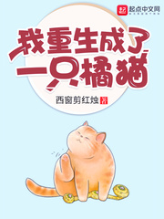 重生之我是橘猫