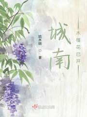 木槿花开什么意思