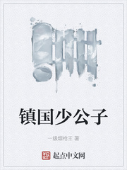 镇国公府小将军