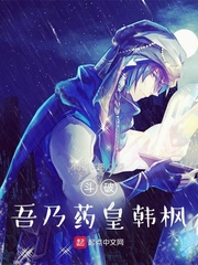 斗破:吾乃药皇韩枫 雨夜末路