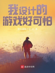 游戏设计师小说